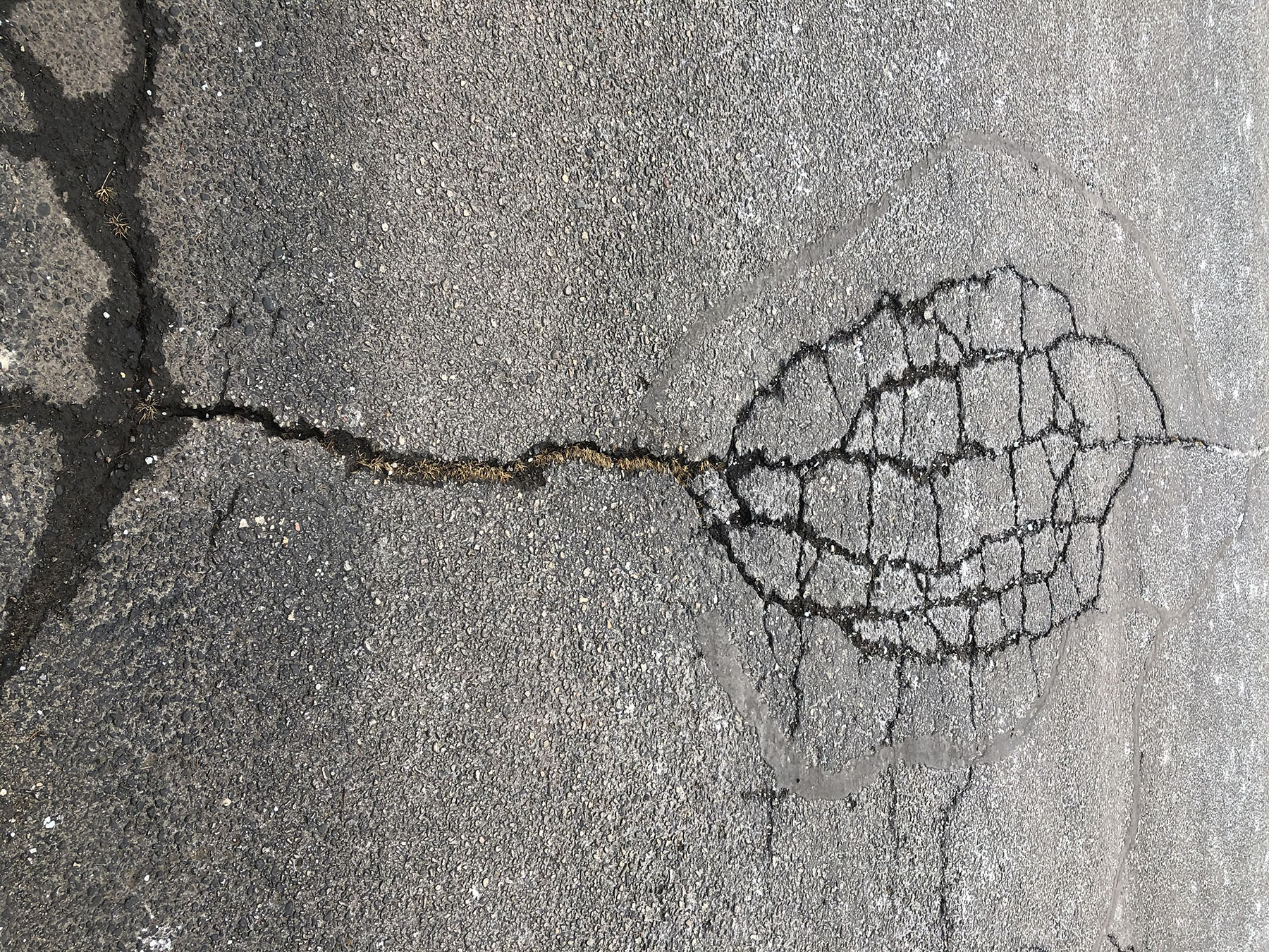 cracks in asphalt creating an oval shape