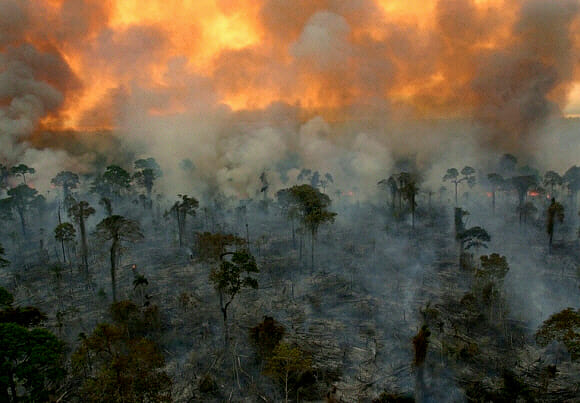 press image the amazon burning